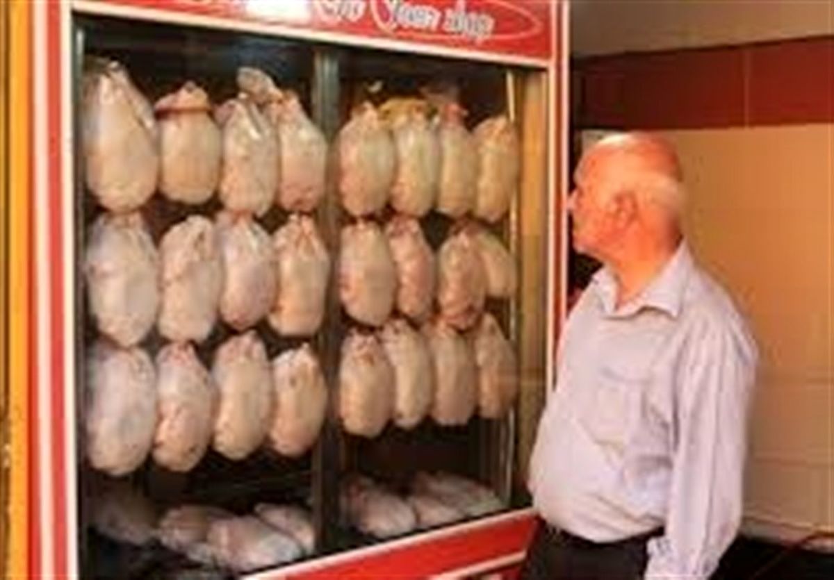 مرغ در سراشیبی قیمت قرار گرفت مرغ در سراشیبی قیمت قرار گرفت