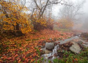 عکاسی پاییز