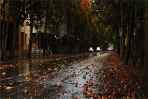 یکی از طولانی ترین خیابان های خاورمیانه است که از شمال تهران تا جنوب آن امتداد دارد. این خیابان به دلیل وجود چنارهای سر به فلک کشیده، در پاییز زیبایی خاصی پیدا می کند. برگ های پاییزی چنارها در رنگ های مختلف زرد، نارنجی، قرمز و قهوه ای، منظره ای چشم نواز را در خیابان ولیعصر ایجاد می کنند.