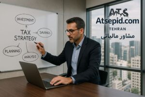 مشاور مالیاتی متخصص در حال طراحی برنامه مالیاتی برای شرکت