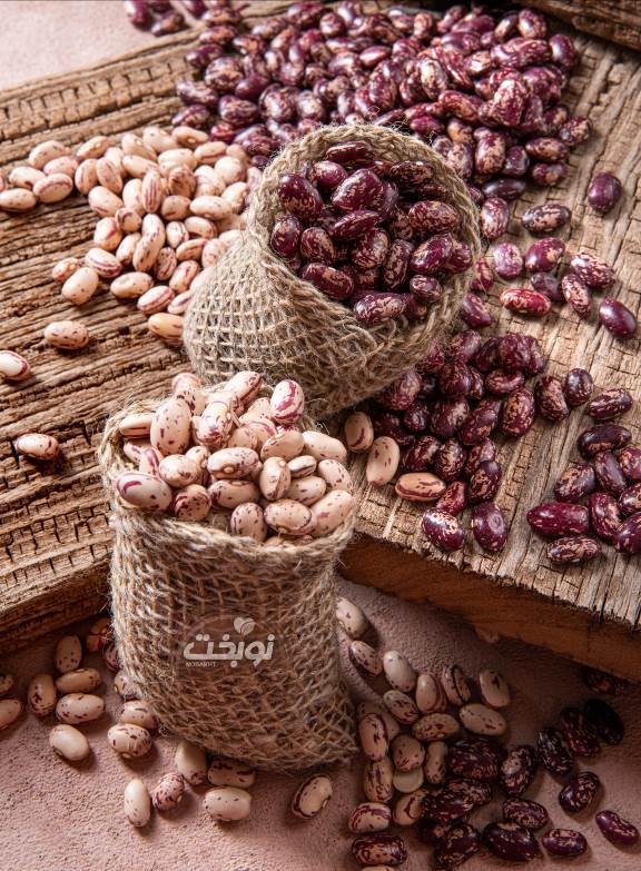 لوبیا چیتی ازبکستان؛ انتخاب حرفهای صنعت کنسرو 1 1