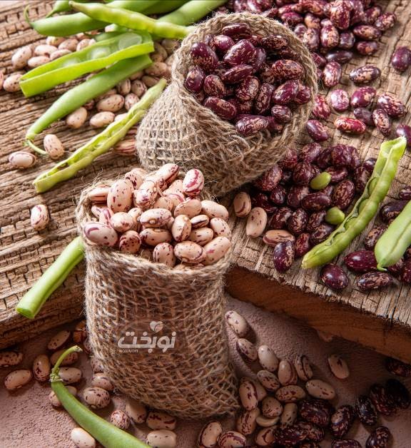 لوبیا چیتی ازبکستان؛ انتخاب حرفهای صنعت کنسرو 2 3
