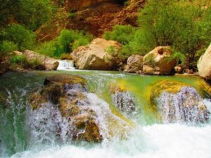 خانه 7 157642346