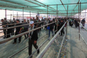 خانه 2 172029626